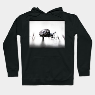 Snail Hoodie